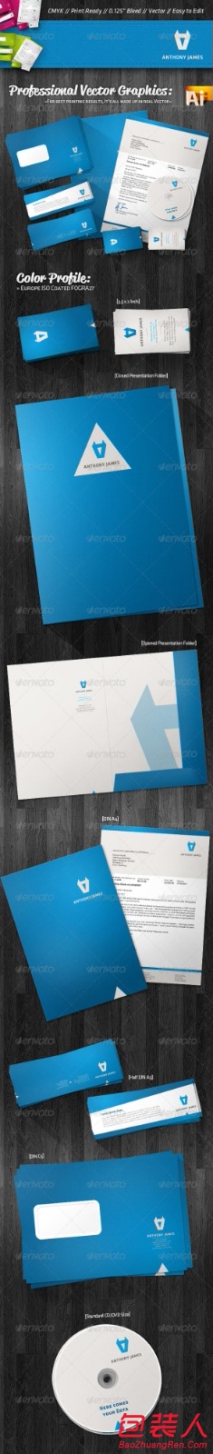 VISԴļ professional-agency-corporate-identity-package-600438
