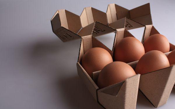 鸡蛋缓冲结构设计图图片