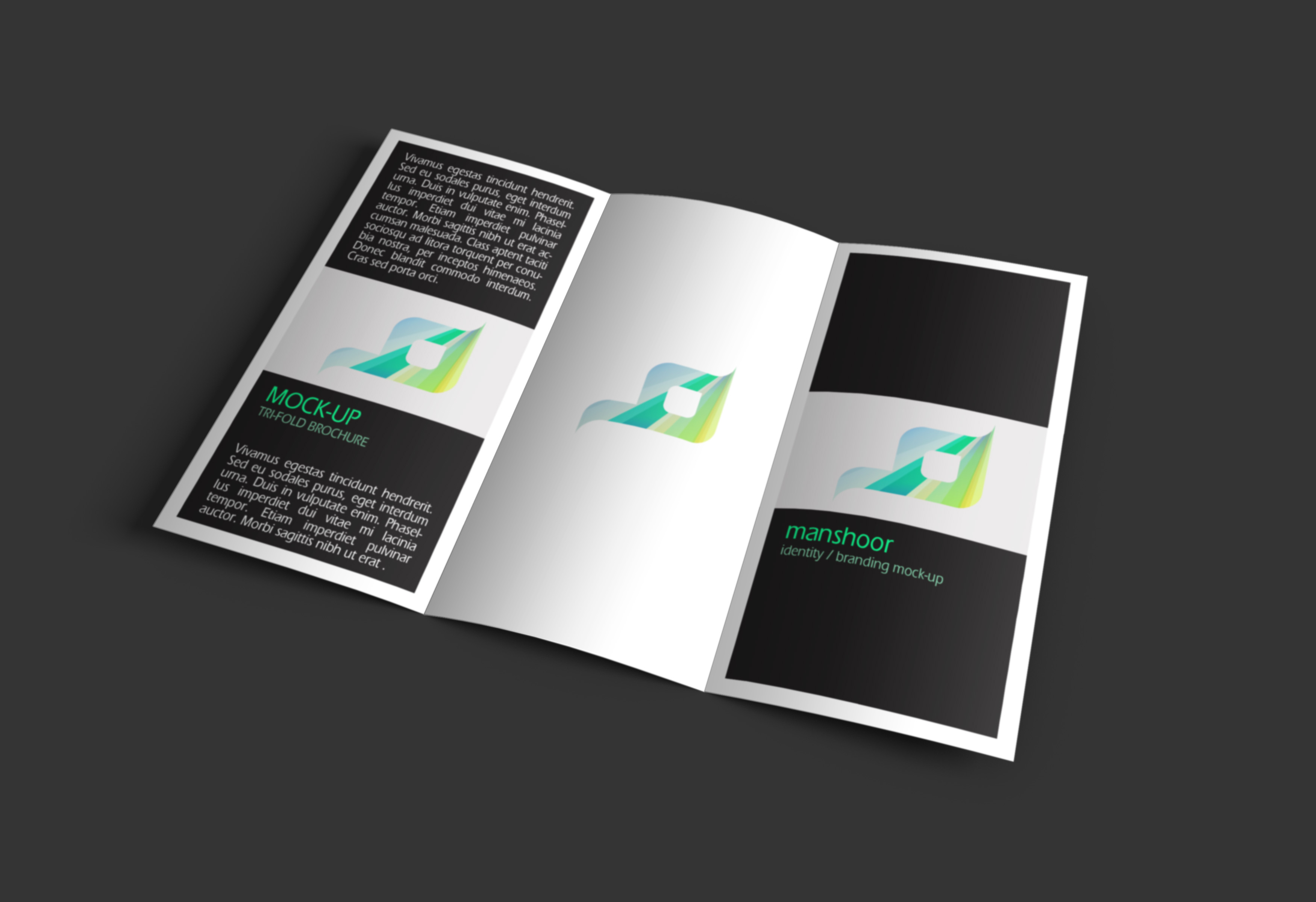 Tri-Fold Brochure Inside.jpg