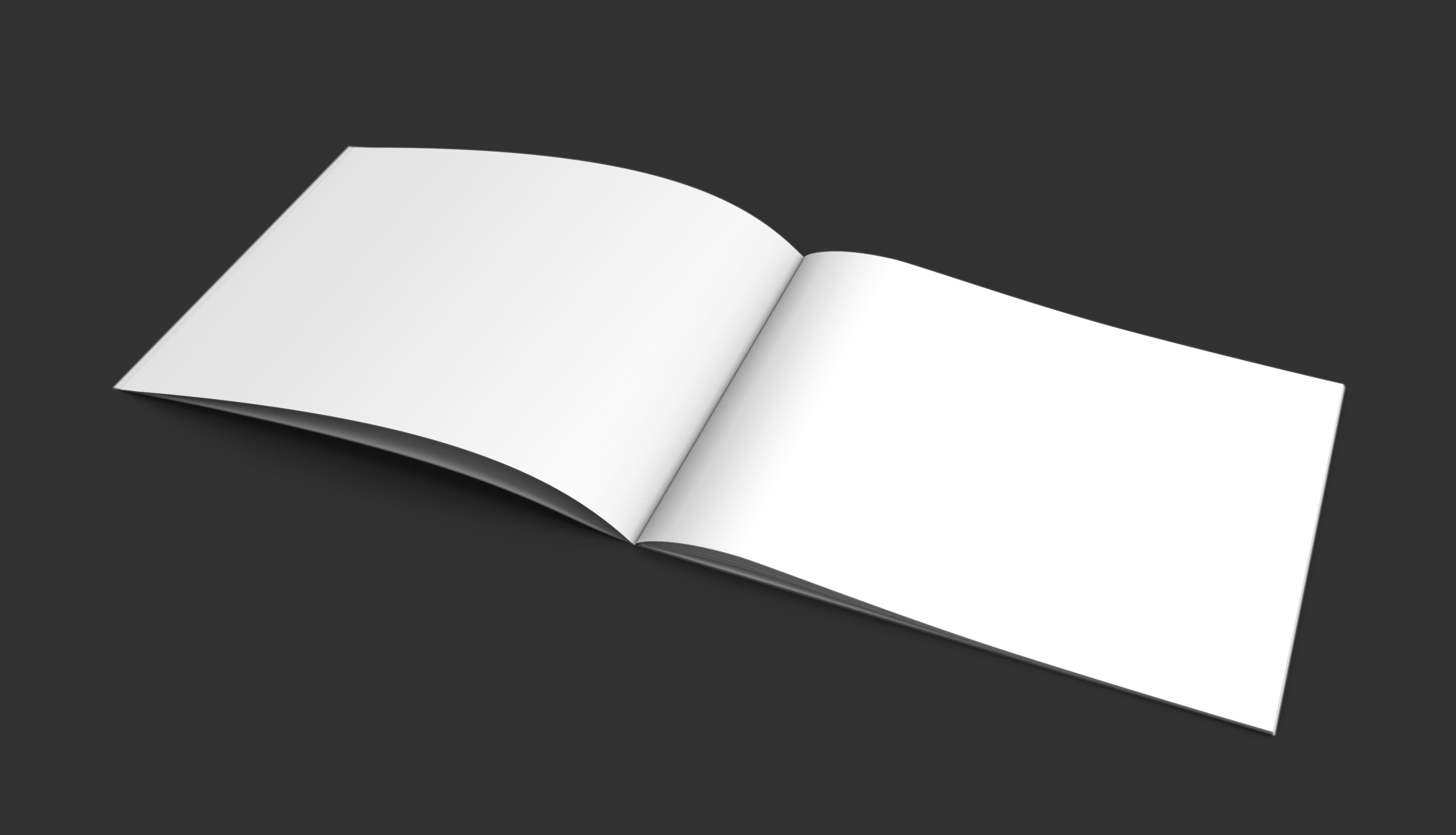 Horizontal Brochure - inside.jpg