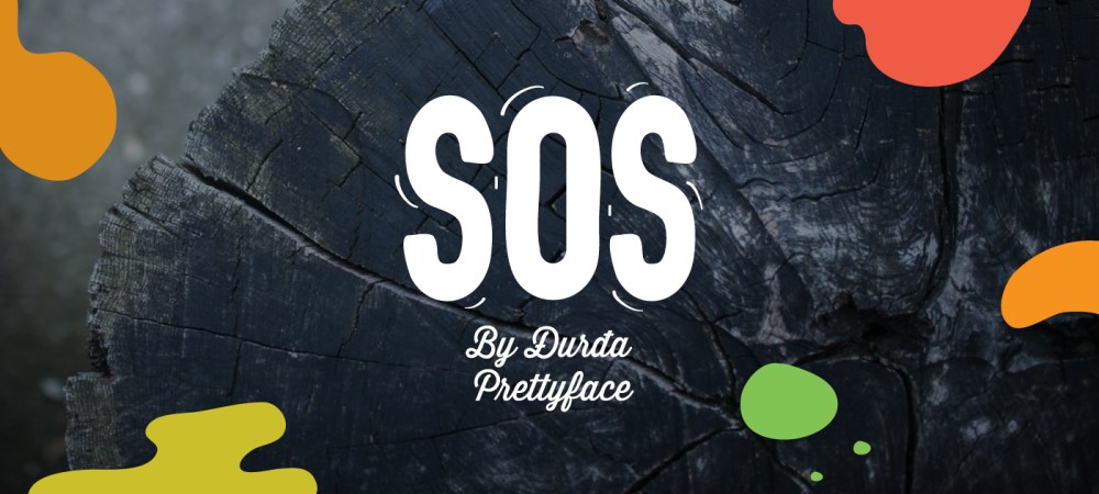 DSC0000.png
