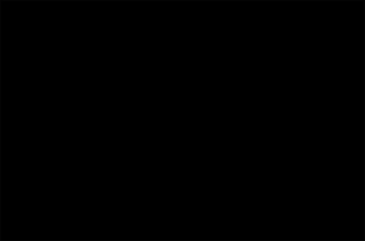 DSC0005.gif