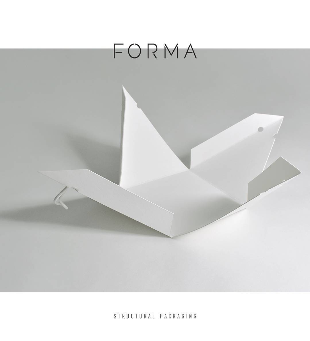 װŻһ װƷװṹ Forma װչͼģο